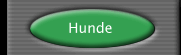 Hunde